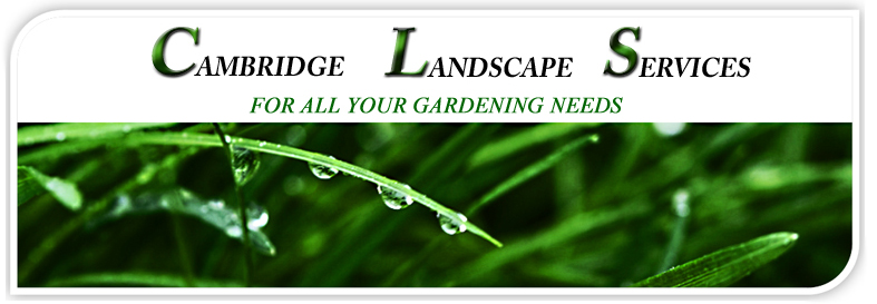 Cambridge Landscape Services for ALL your gardening needs, grass cutting, hedges cut, lawn maintenance