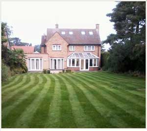 regular grass maintenance through the year